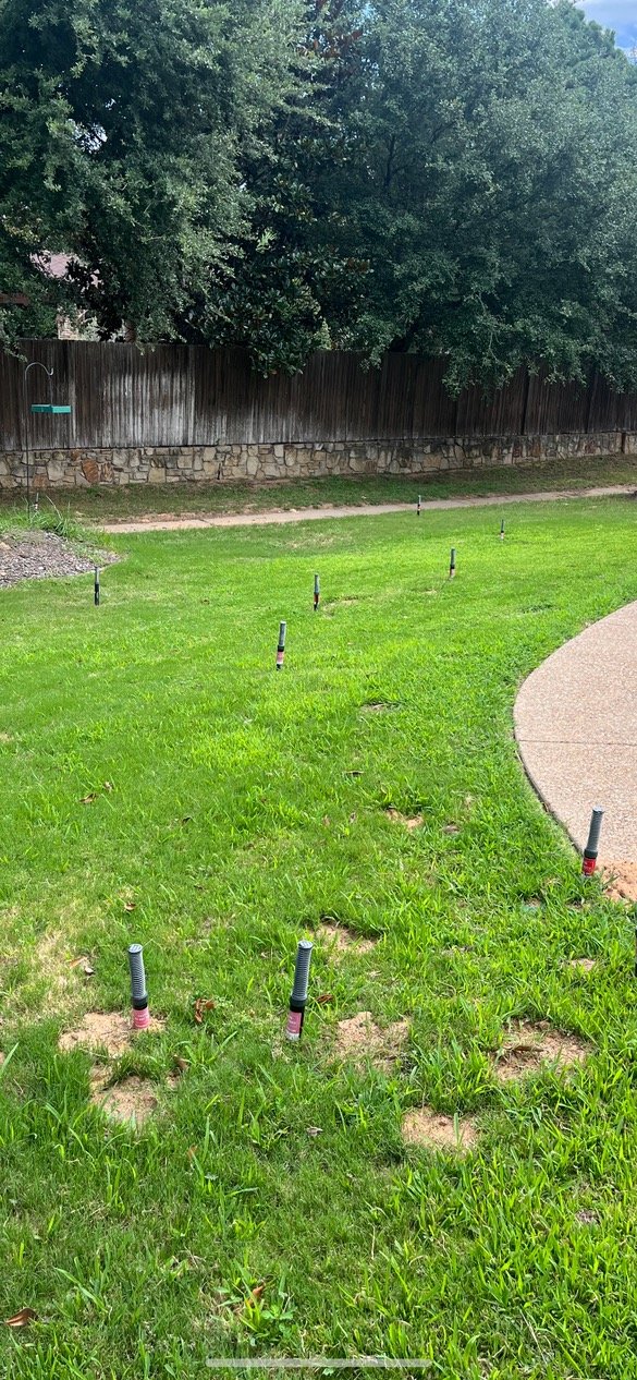 Mole Master traps set across an active lawn
